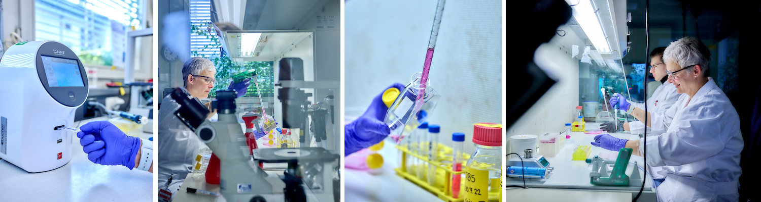 Impressions%20lab%201